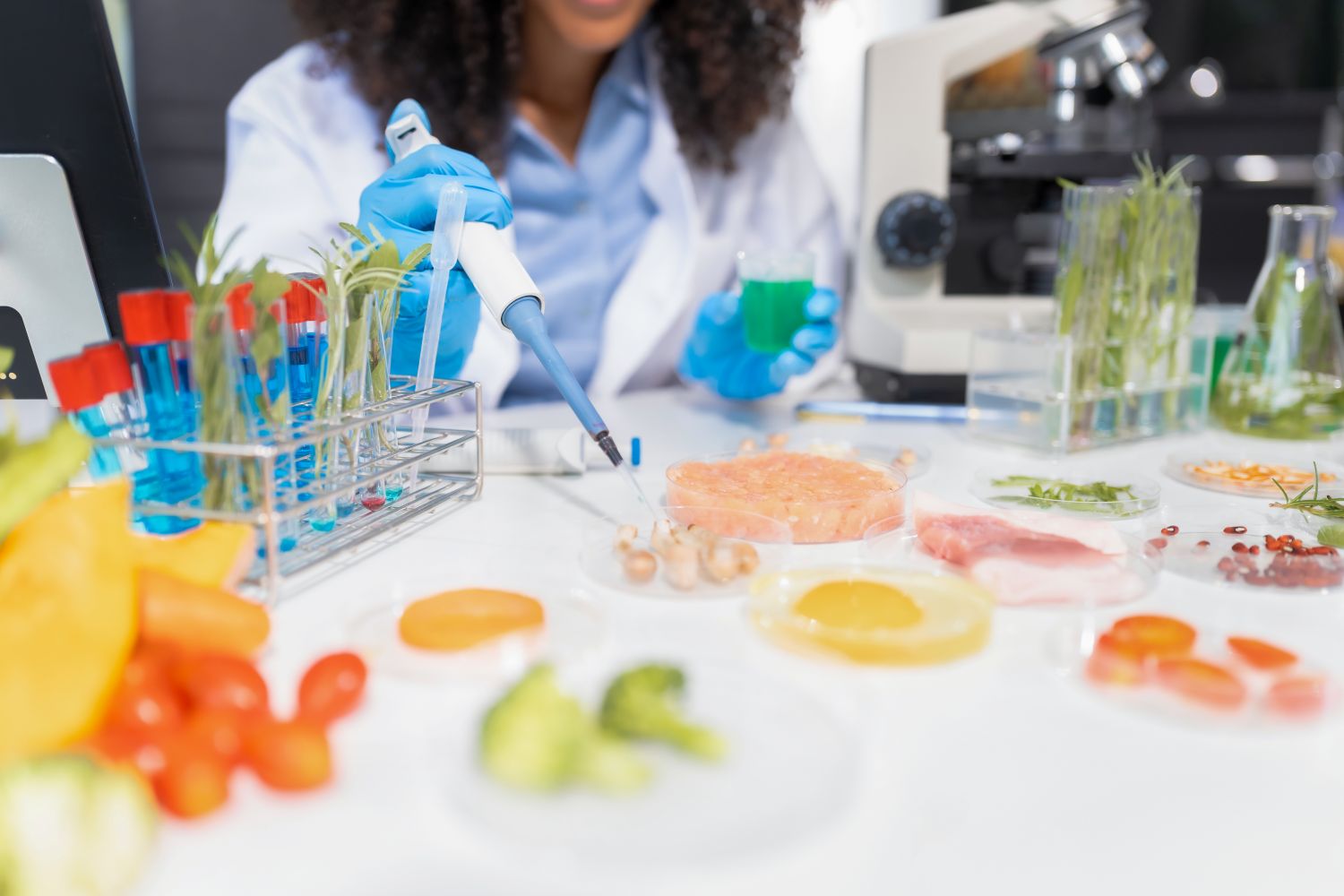 particle analysis of food